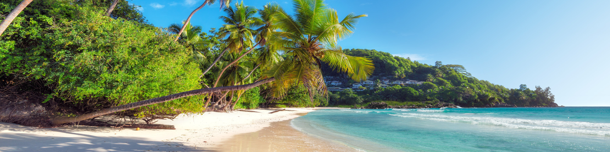 Увольнение работника по собственному желанию, находящегося за границей Увольнение работника по собственному желанию, находящегося за границей