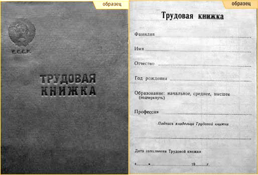 Трудовая книжка образец консультант плюс